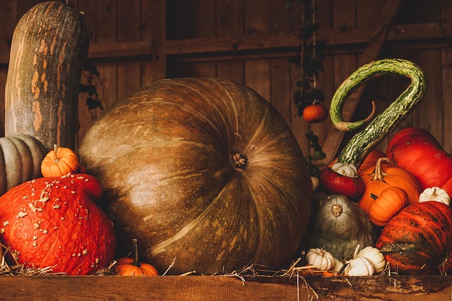 Gyselige græskar: Kreative ideer til halloween-udsmykning